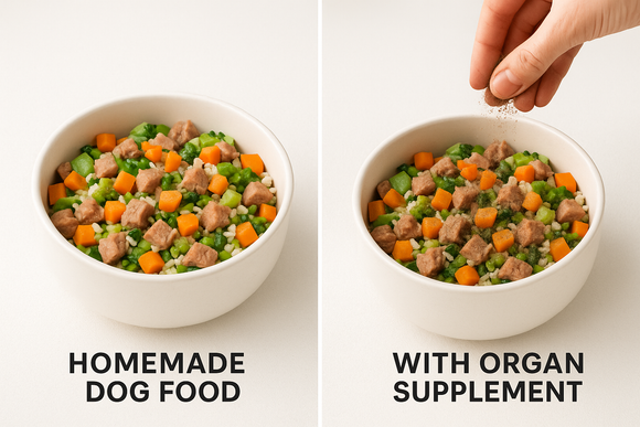 How to Supplement Homemade Dog Food: The Missing Nutrients Most Owners Overlook