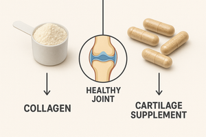 Collagen vs. Cartilage: What’s the Difference for Joint Health?