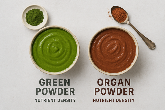 Comparison of organ powder vs greens powder — nutrient-dense superfood sources of vitamins, minerals, and amino acids