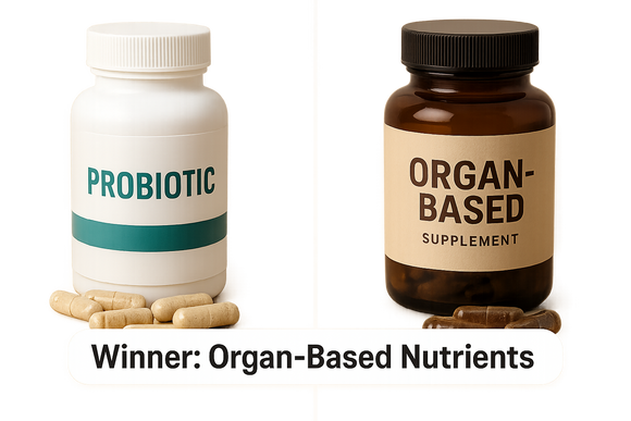 Probiotics vs. Organ-Based Nutrients: What’s Best for Your Dog’s Belly?