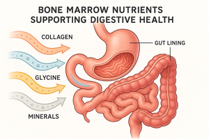 Gut Health and the Benefits of Bone Marrow for Digestion