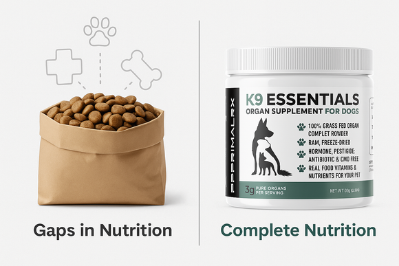Why Kibble Isn’t Enough: Filling the Nutrient Gaps with Organ Supplements