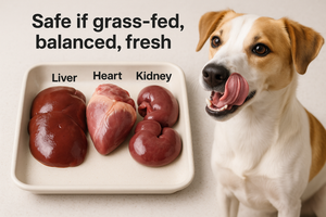 Are Raw Organ Meats Safe for Dogs? What Every Pet Owner Should Know