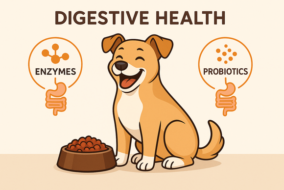 Dog Digestion Problems? Why Organ Supplements Support a Healthy Gut