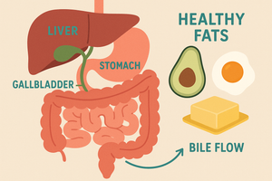 Why Bile Salts & Gallbladder Nutrients Are Critical for Fat Digestion