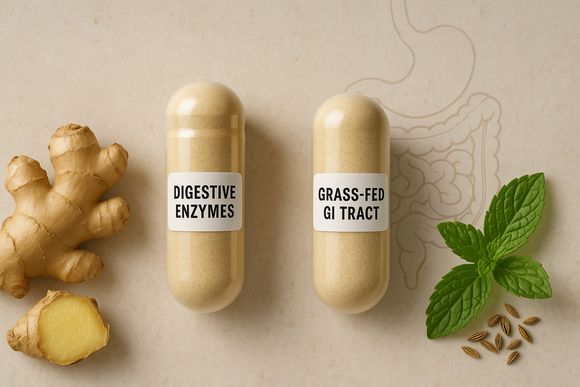 Comparison of grass-fed GI tract supplements versus synthetic digestive enzyme capsules for gut health