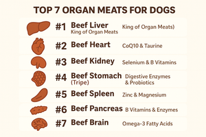 Best Organ Meats FOR DOGS (ranked)