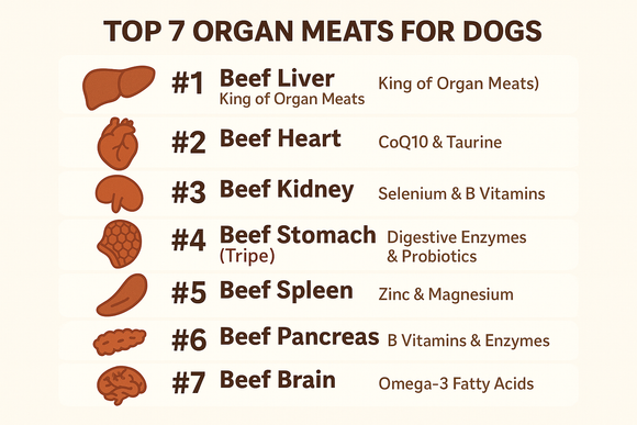 Best Organ Meats FOR DOGS (ranked)