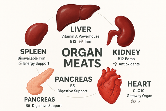 The 5 Best Organs to Eat (and Why They’re So Good For You!)