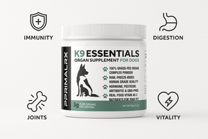 Why K9 Essentials is the Best All-in-One Multivitamin for Dogs