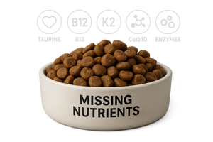 Top 5 Nutrient Gaps in Modern Dog Food (and How Organ Supplements Fill Them)