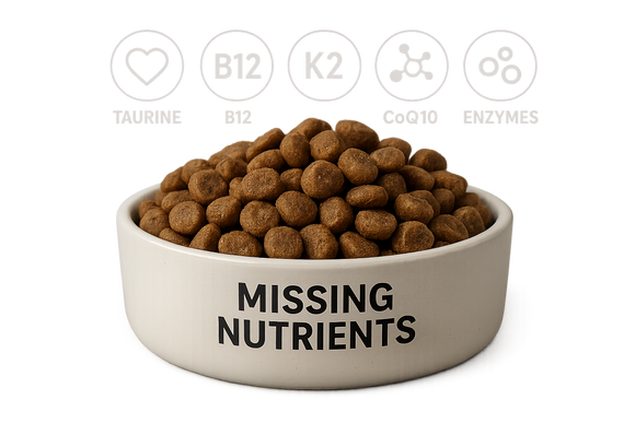 Top 5 Nutrient Gaps in Modern Dog Food (and How Organ Supplements Fill Them)