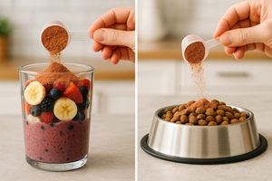 How to Use Organ Powders in Smoothies, Meals & Pet Food