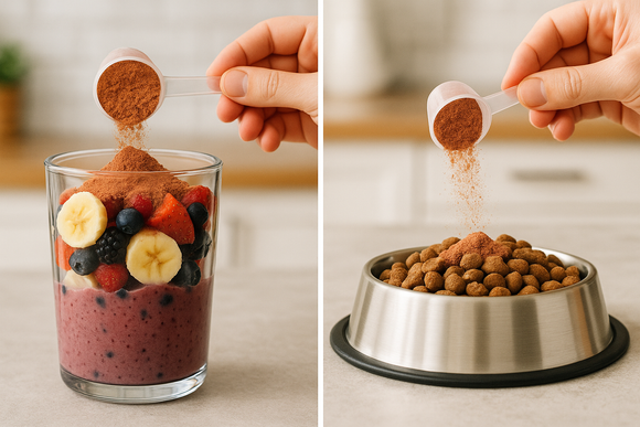 How to Use Organ Powders in Smoothies, Meals & Pet Food