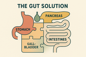 Organ Supplements for Digestion: Are They the Gut Solution We’ve Been Missing?