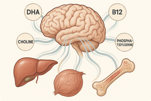 Brain Food Reimagined: How Organ Supplements Boost Memory, Focus, and Mood