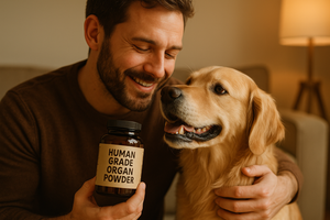 Why Human-Grade Organ Supplements Are a Game-Changer for Dogs