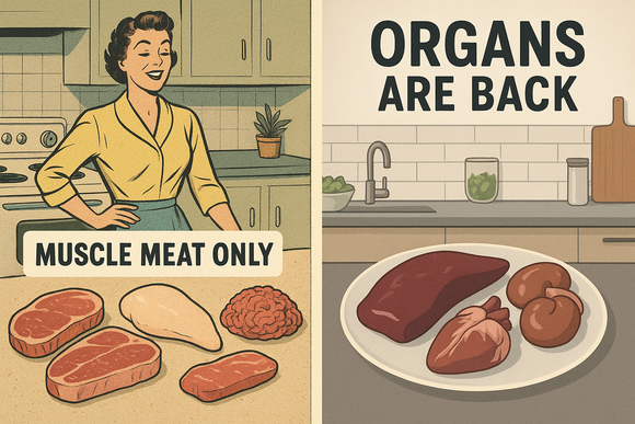 Why Organ Meats Disappeared from Western Diets (And Why They’re Coming Back)