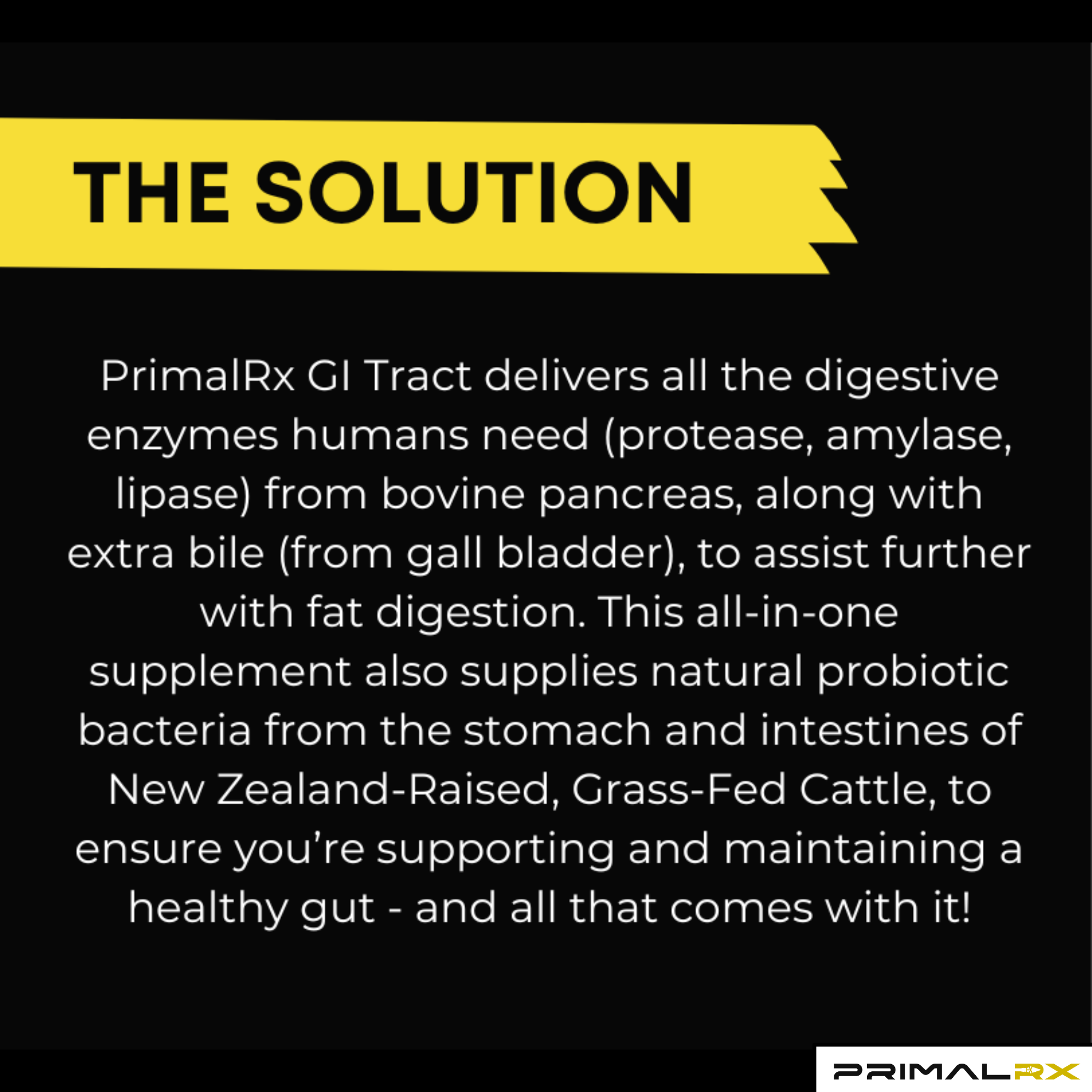 Supports healthy digestion and microbiome – PrimalRx Grass-Fed Organ Supplement