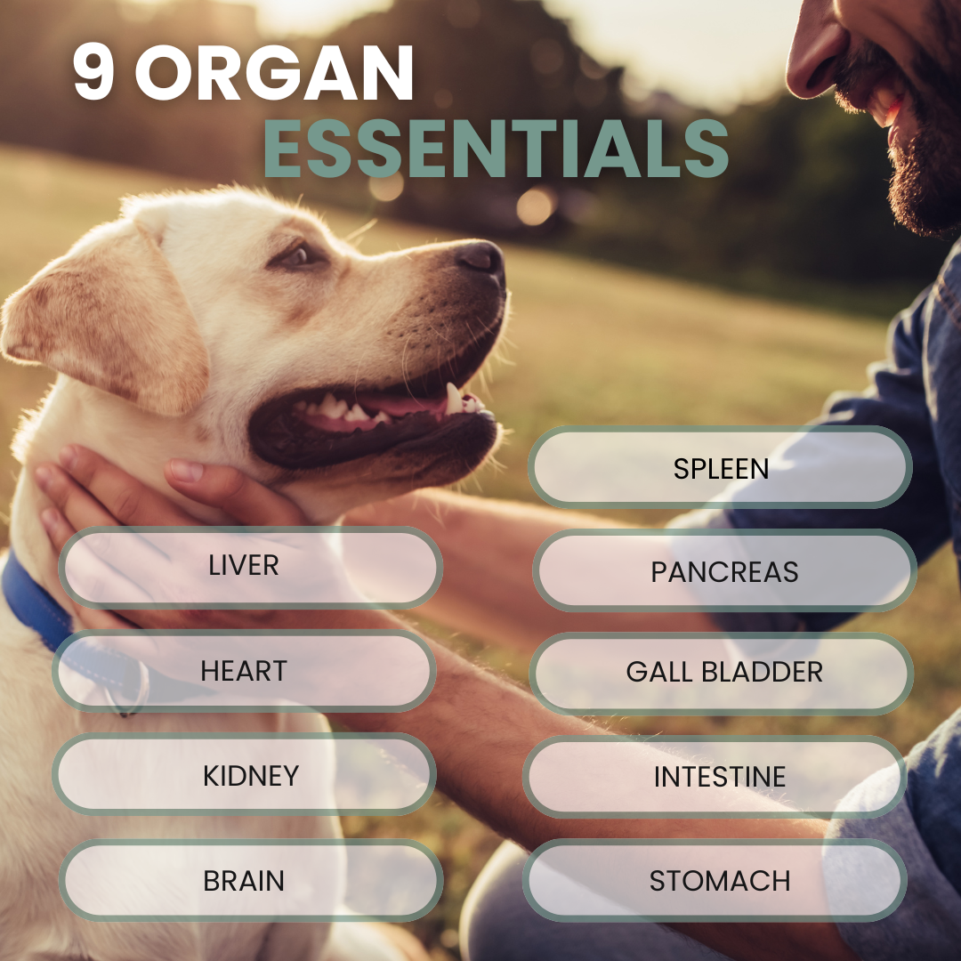 K9 Essentials - Organ Supplement For DOGS - 90g powder