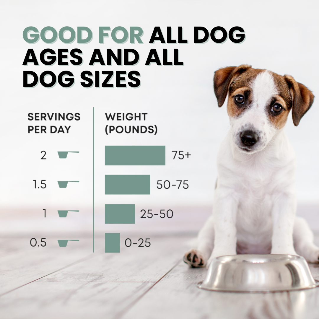 K9 Essentials - Organ Supplement For DOGS - 90g powder