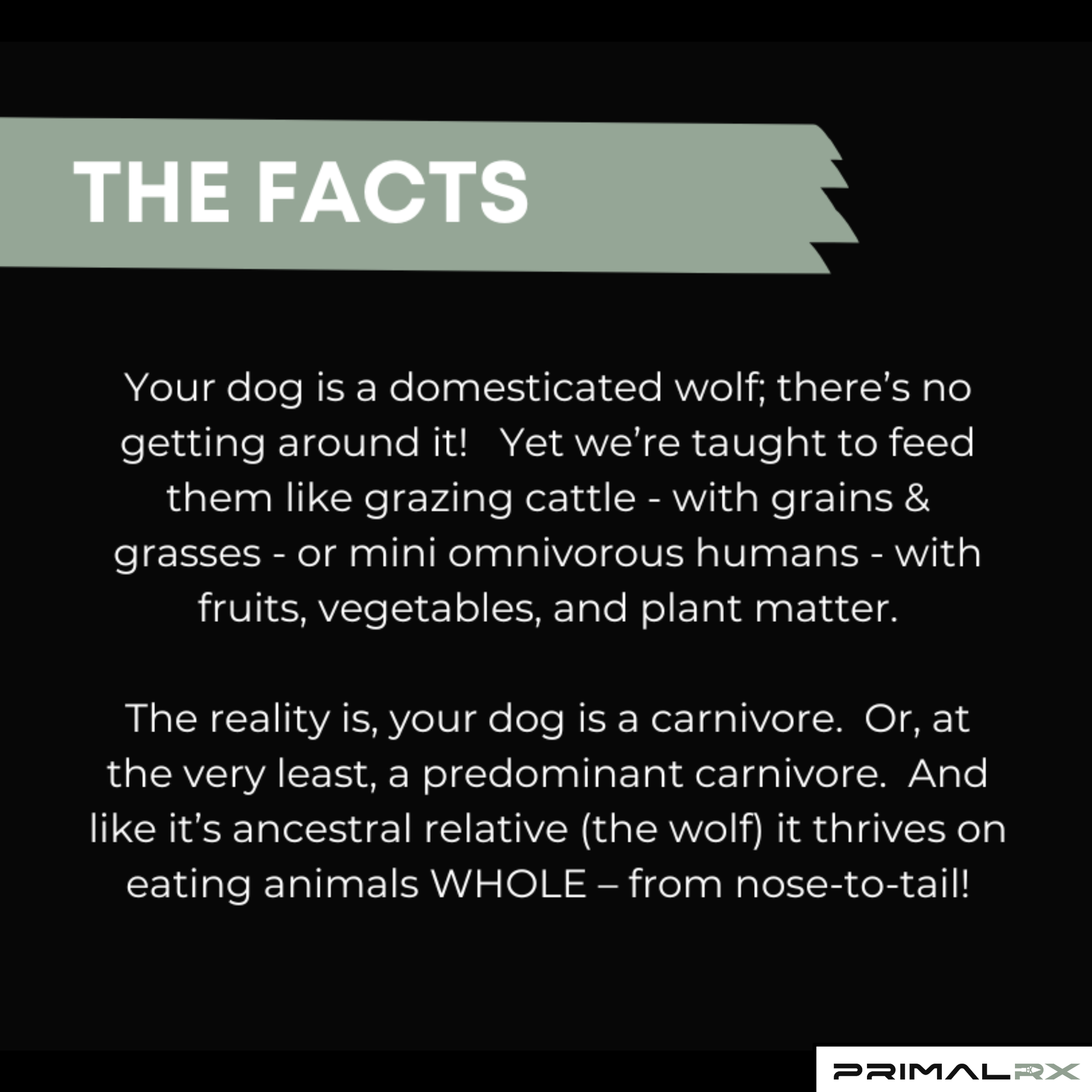 K9 Essentials organ supplement powder with scoop – nutrient-rich blend for dogs