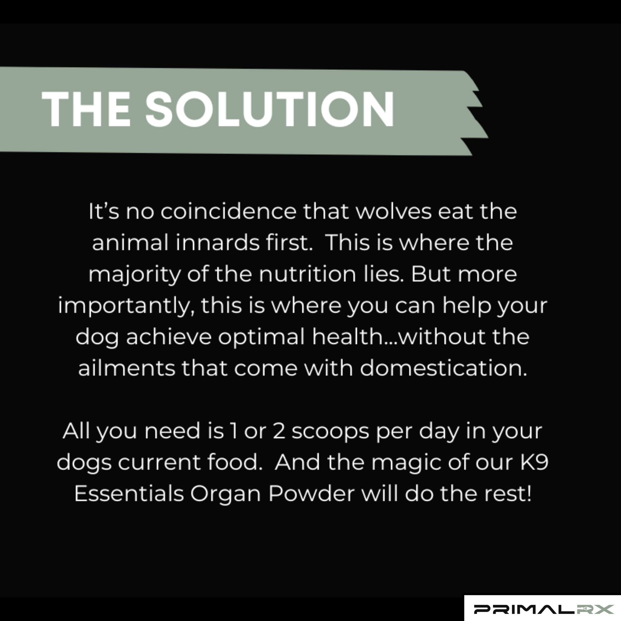 K9 Essentials organ supplement powder with scoop – nutrient-rich blend for dogs 3