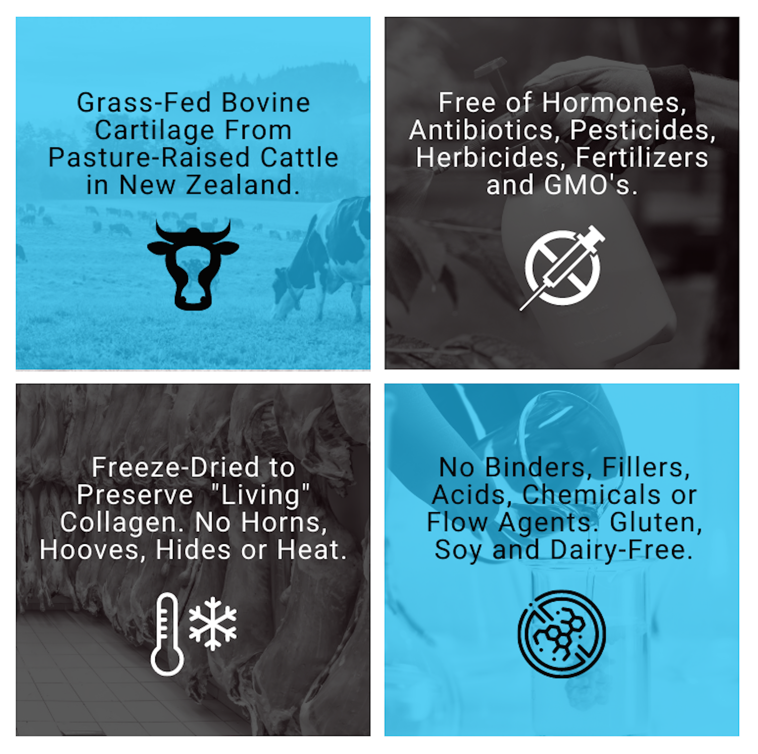 PrimalRx Grass-Fed Bovine Liver Capsules – natural source of vitamin A, B12, and heme iron 2