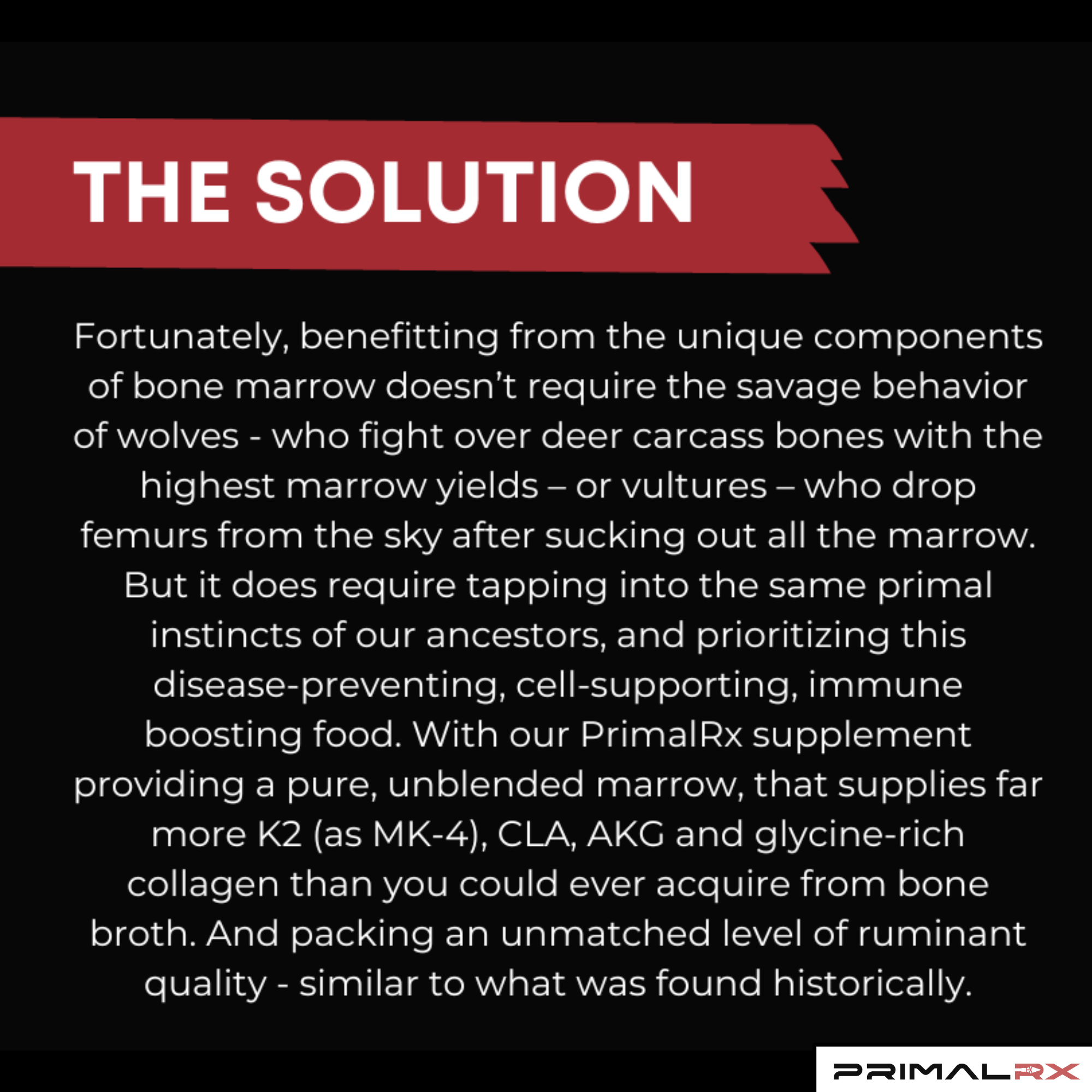 Bovine marrow capsules – nutrient-rich whole-food supplement for immunity and vitality 3