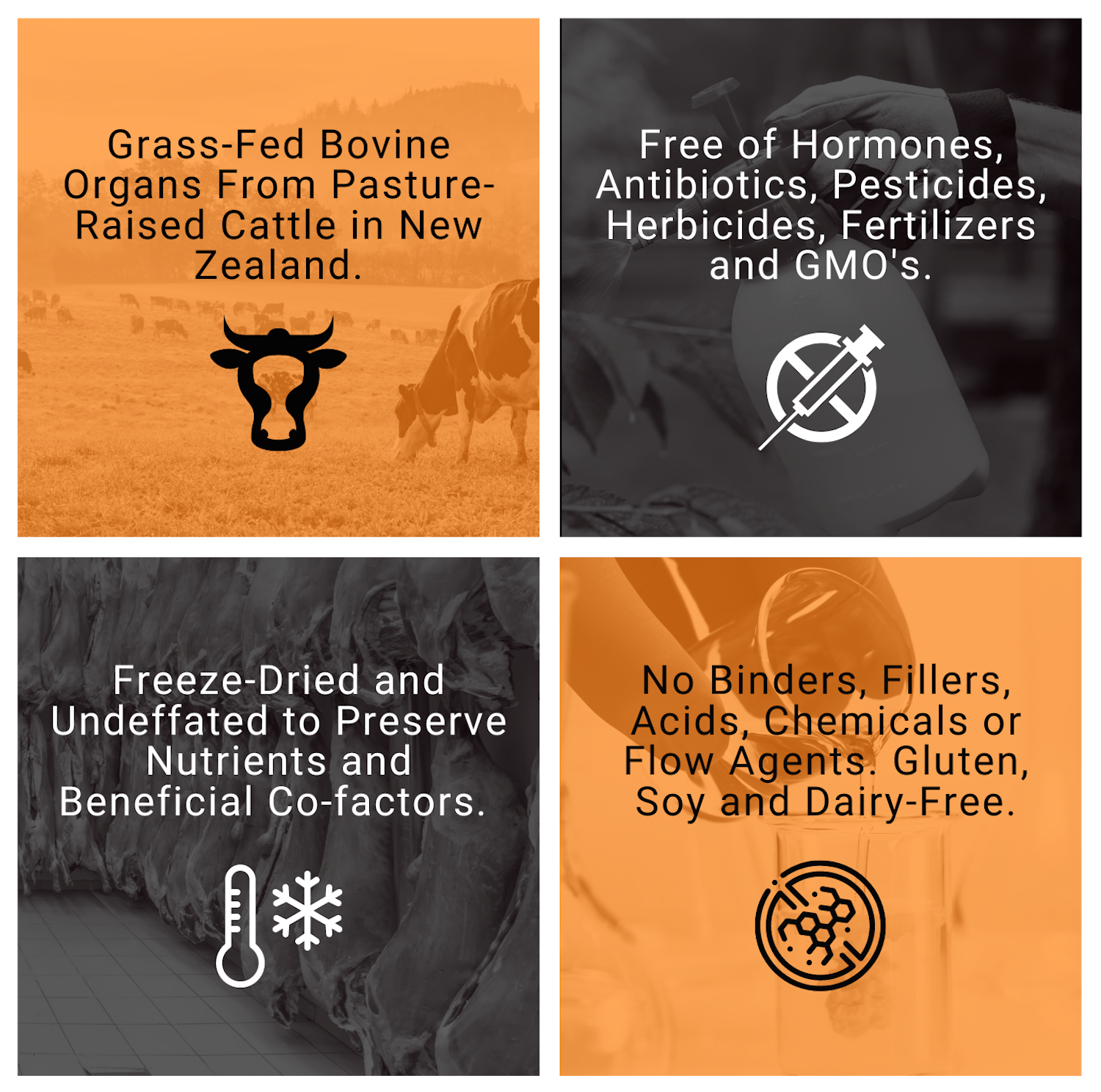 Grass-Fed Bovine Organs - 90g powder