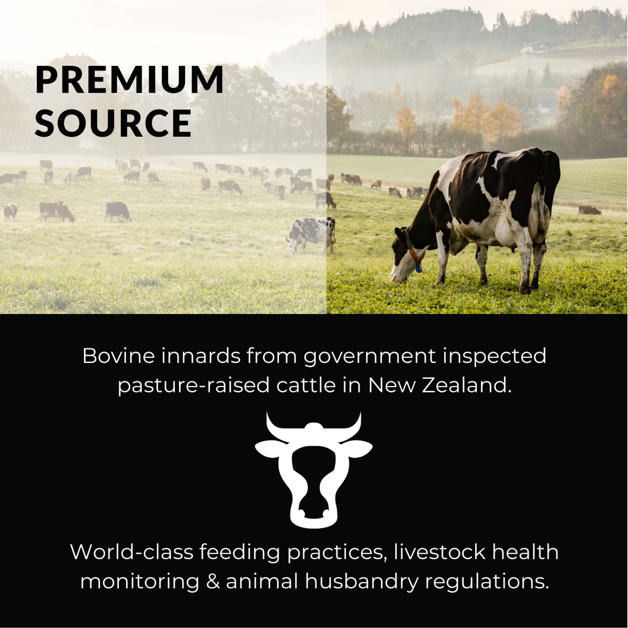 Grass-fed beef liver capsules rich in natural B12 and iron  - the facts