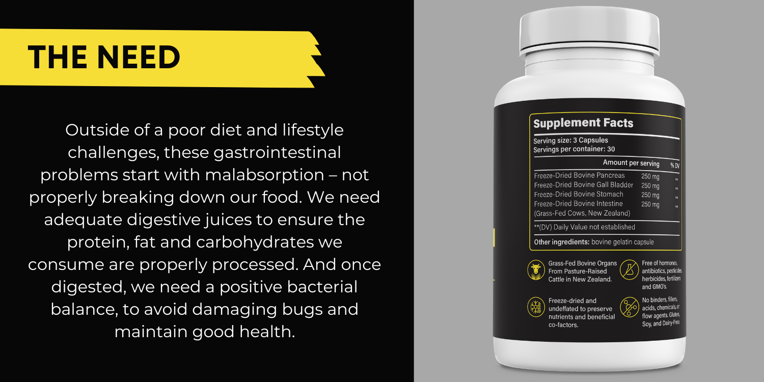 Digestive health capsules from grass-fed beef organs – PrimalRx whole-food formula