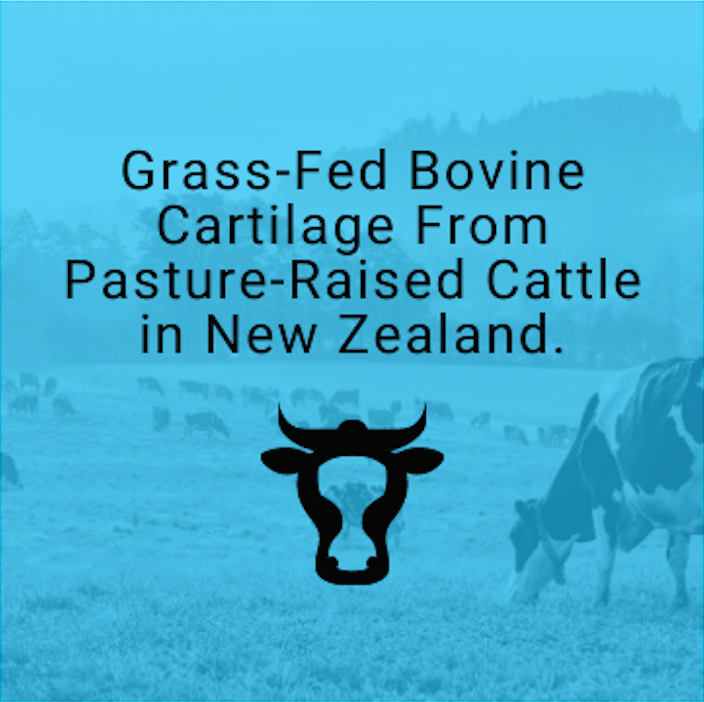 PrimalRx Grass-Fed Bovine Cartilage Capsules – natural support for joints, collagen, and connective tissue