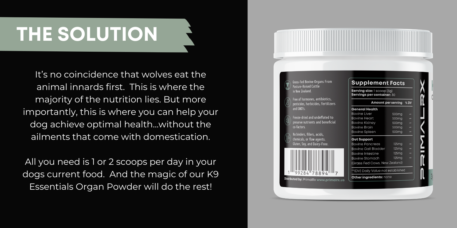 K9 Essentials organ supplement powder with scoop – nutrient-rich blend for dogs 3