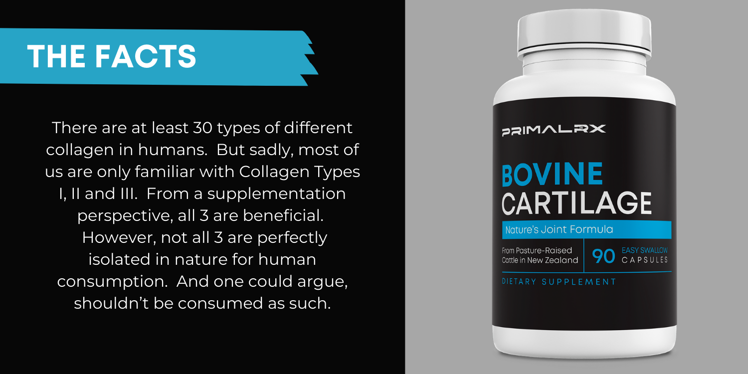 Pure grass-fed cartilage powder in capsules – PrimalRx Nature’s Joint Formula