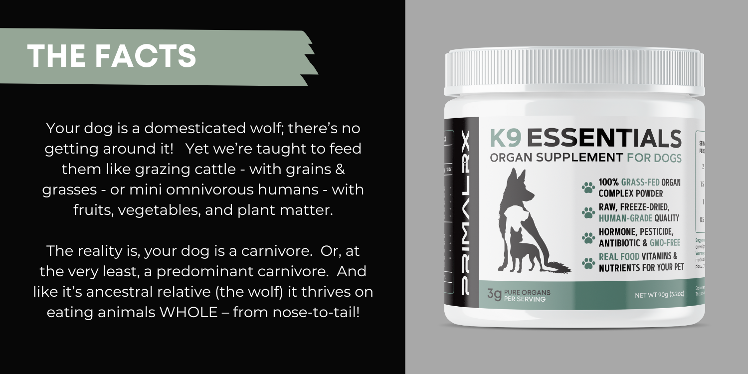 K9 Essentials organ supplement powder with scoop – nutrient-rich blend for dogs