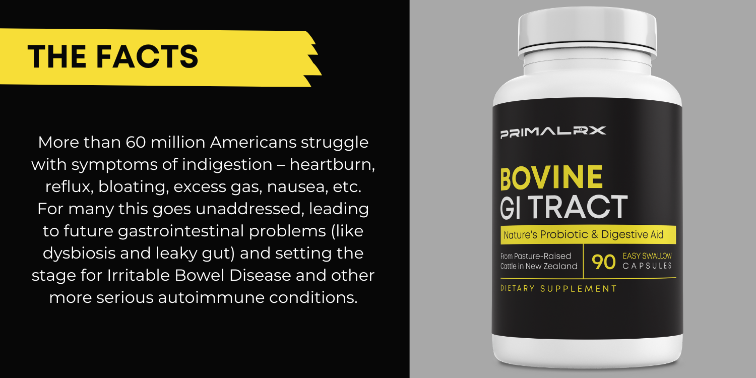 Bovine GI tract capsules – natural probiotic and enzyme support from grass-fed organs