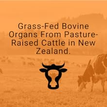 PrimalRx Bovine Organ Powder – grass-fed liver, heart, and kidney blend for all-around vitality