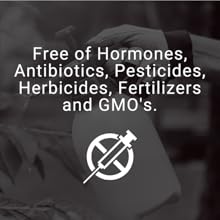 PrimalRx K9 Essentials – grass-fed 9-organ supplement powder for dogs 2