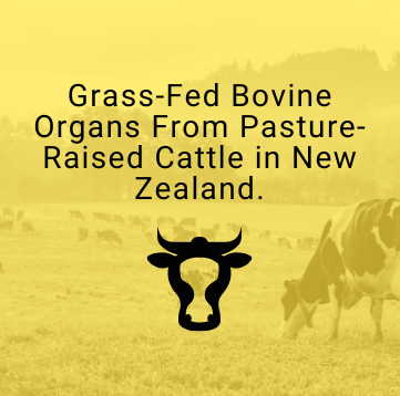 PrimalRx Grass-Fed Bovine GI Tract Capsules – natural digestive support with ancestral enzymes