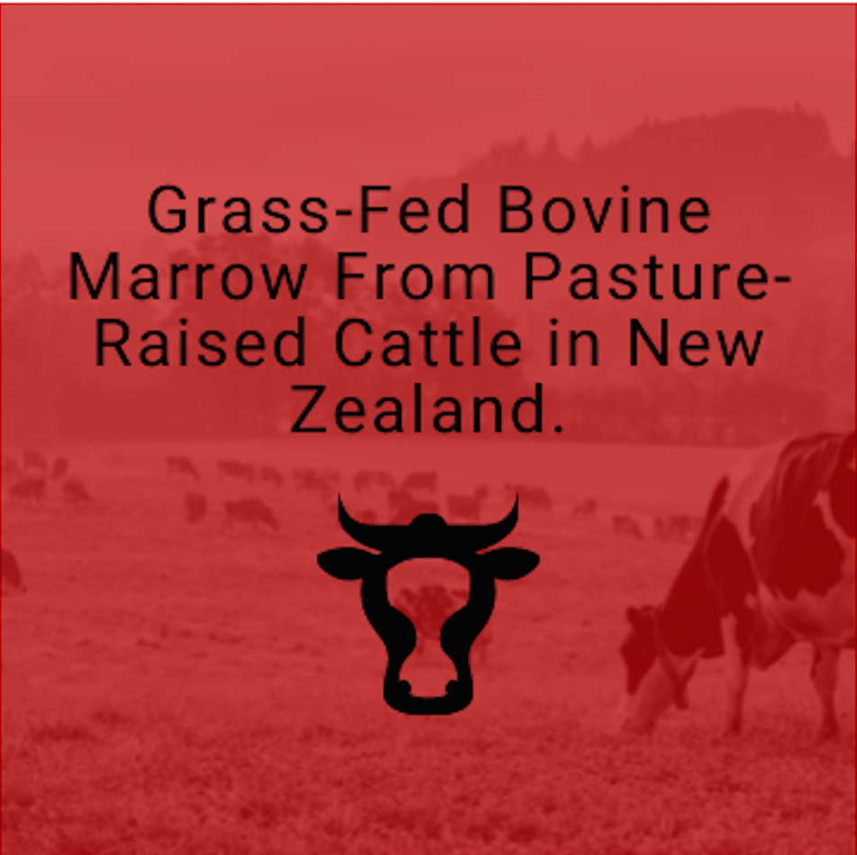 PrimalRx Grass-Fed Bovine Marrow Capsules – whole-food nutrients supporting immunity and longevity